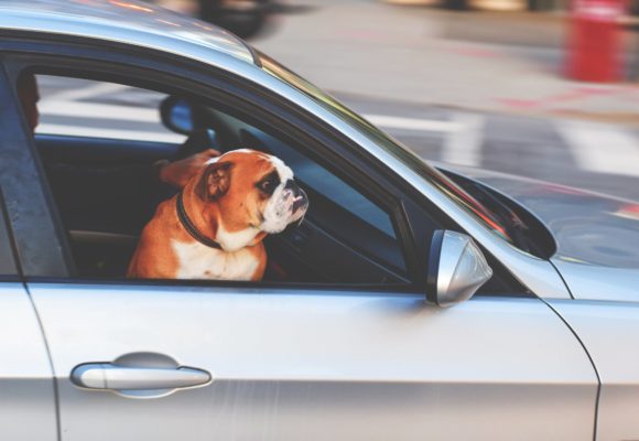 Five Tips on Removing Odors from Vehicles