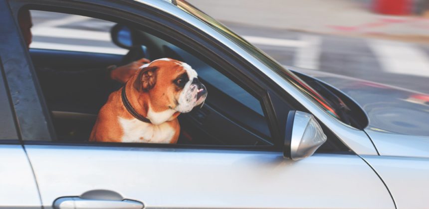 Five Tips on Removing Odors from Vehicles
